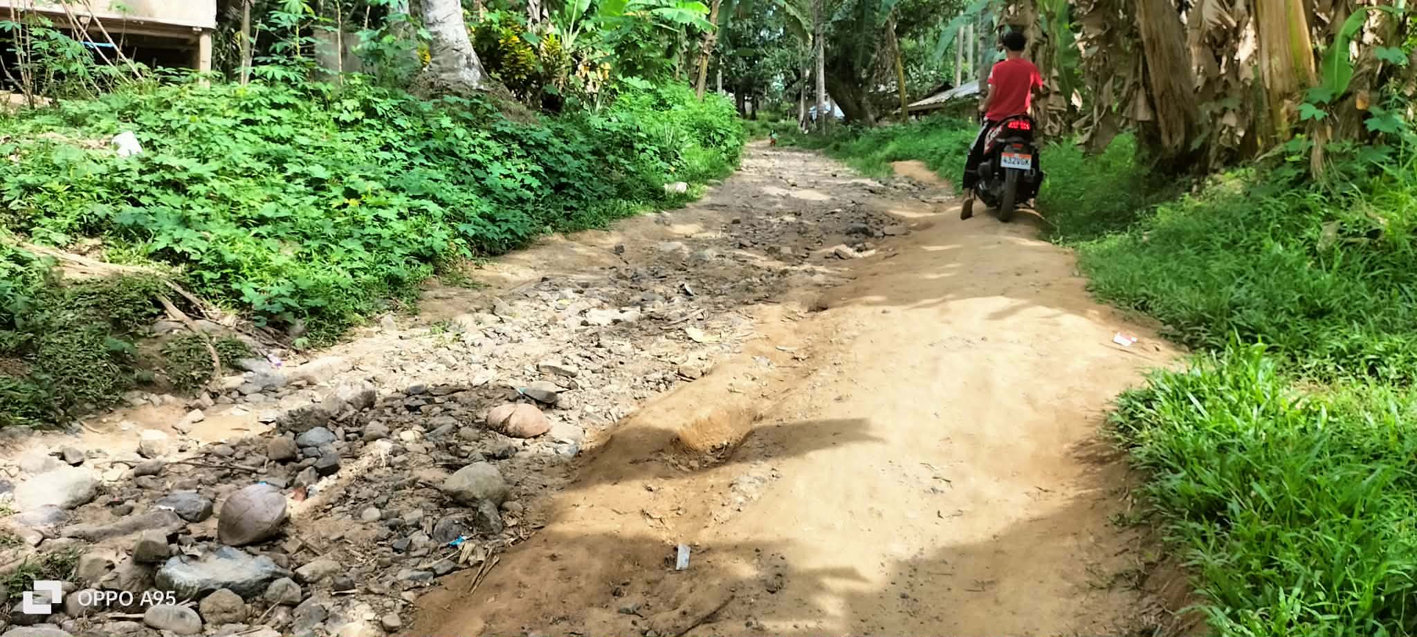A deeply rutted and rocky community road bordered by dense tropical vegetation