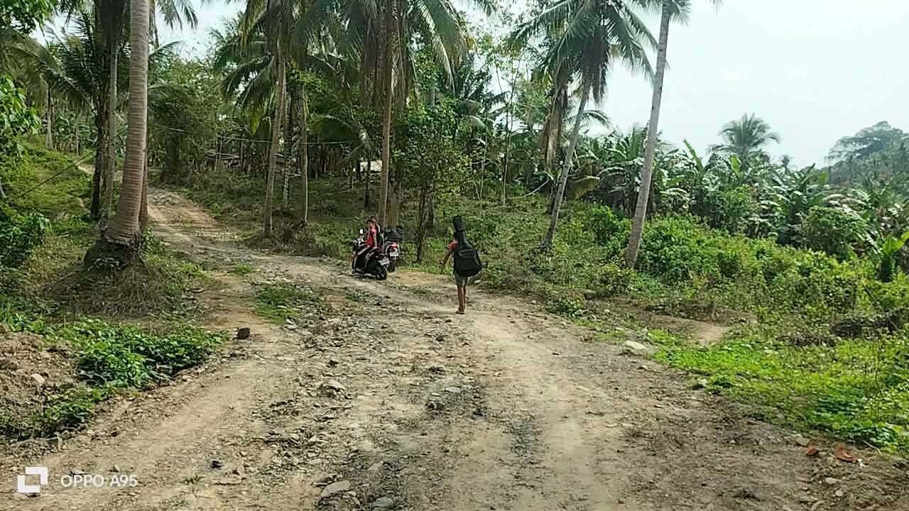 Residents traveling along an uneven rural road among coconut trees