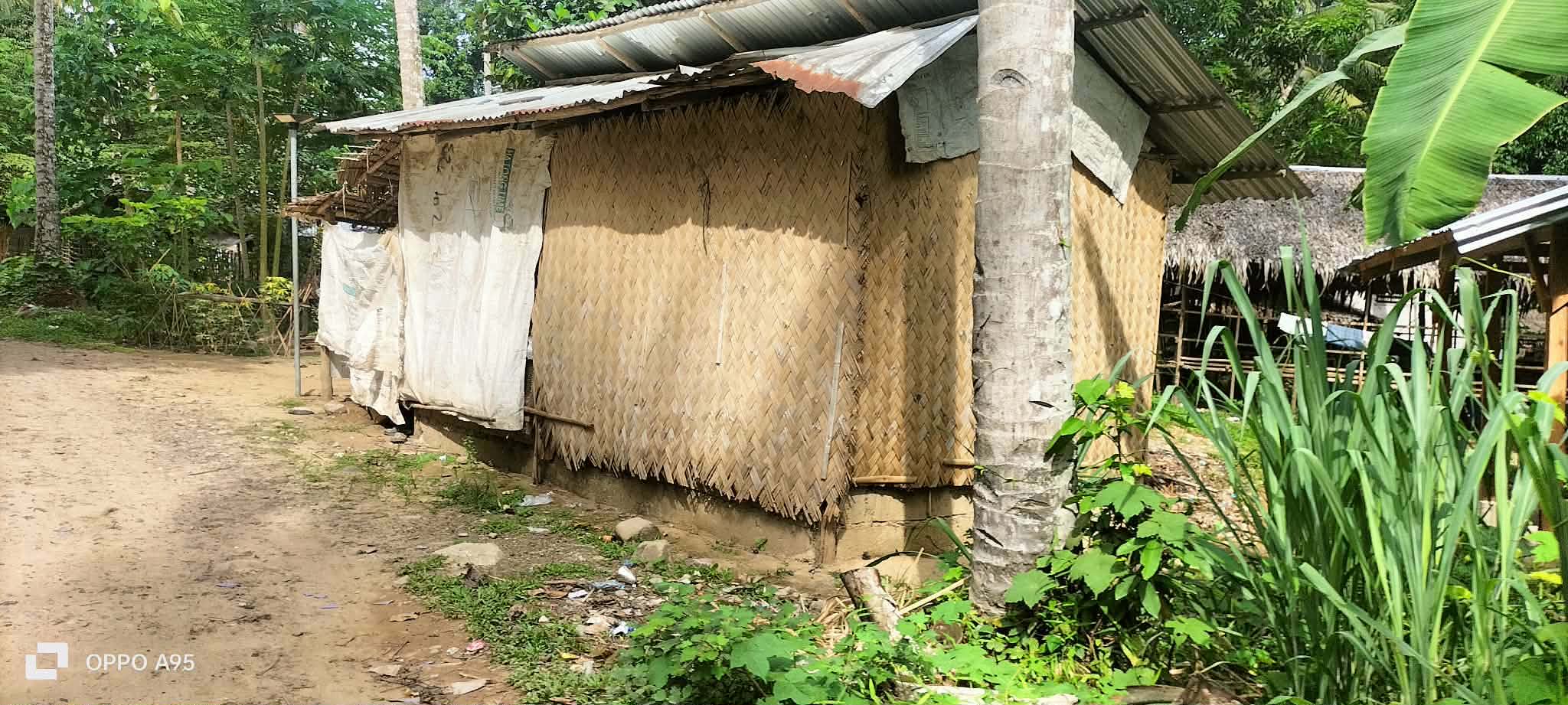 A woven bamboo home beside a rural path and tropical plants