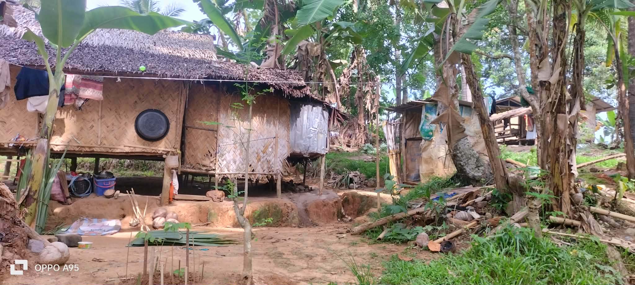 Traditional homes surrounded by banana plants and coconut trees